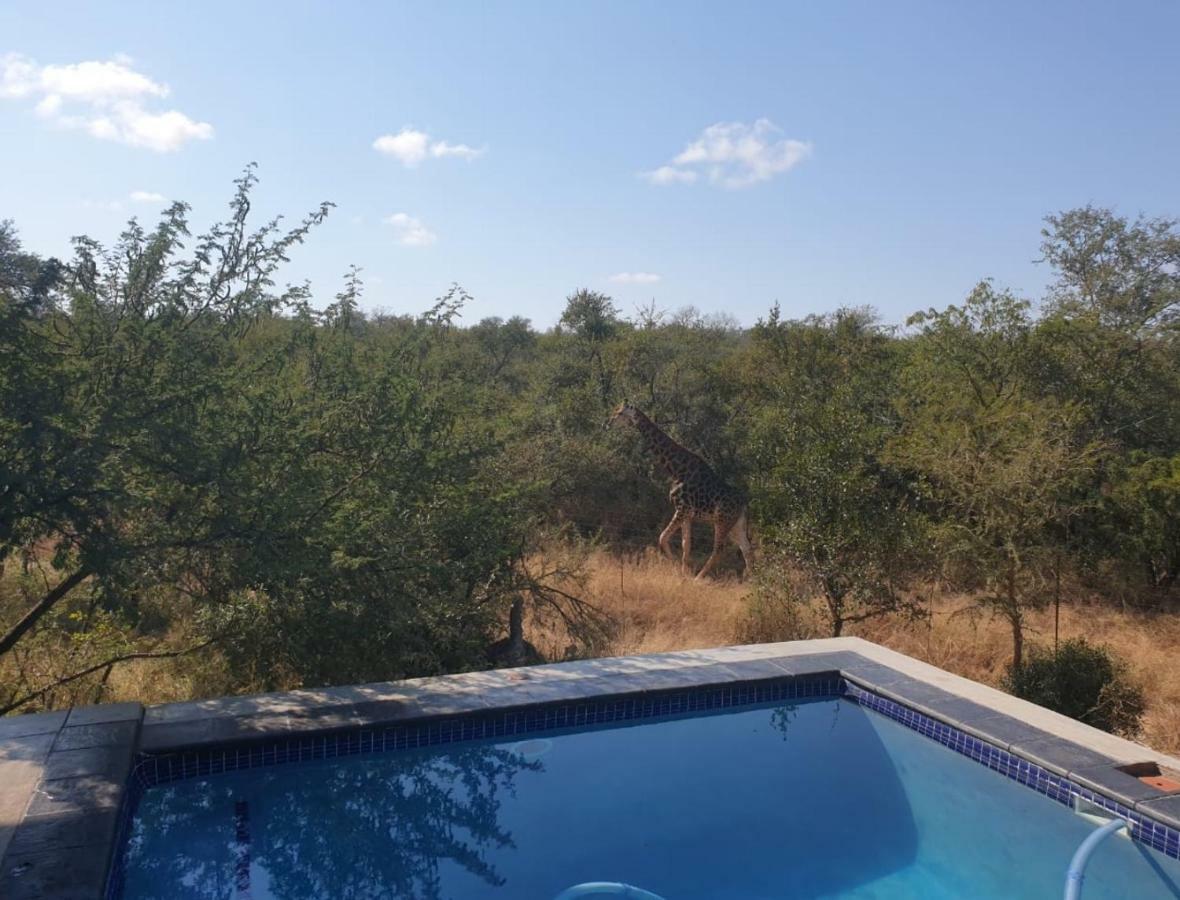 Lionsview Private Lodge - 6 Lions Marloth Park Exterior photo